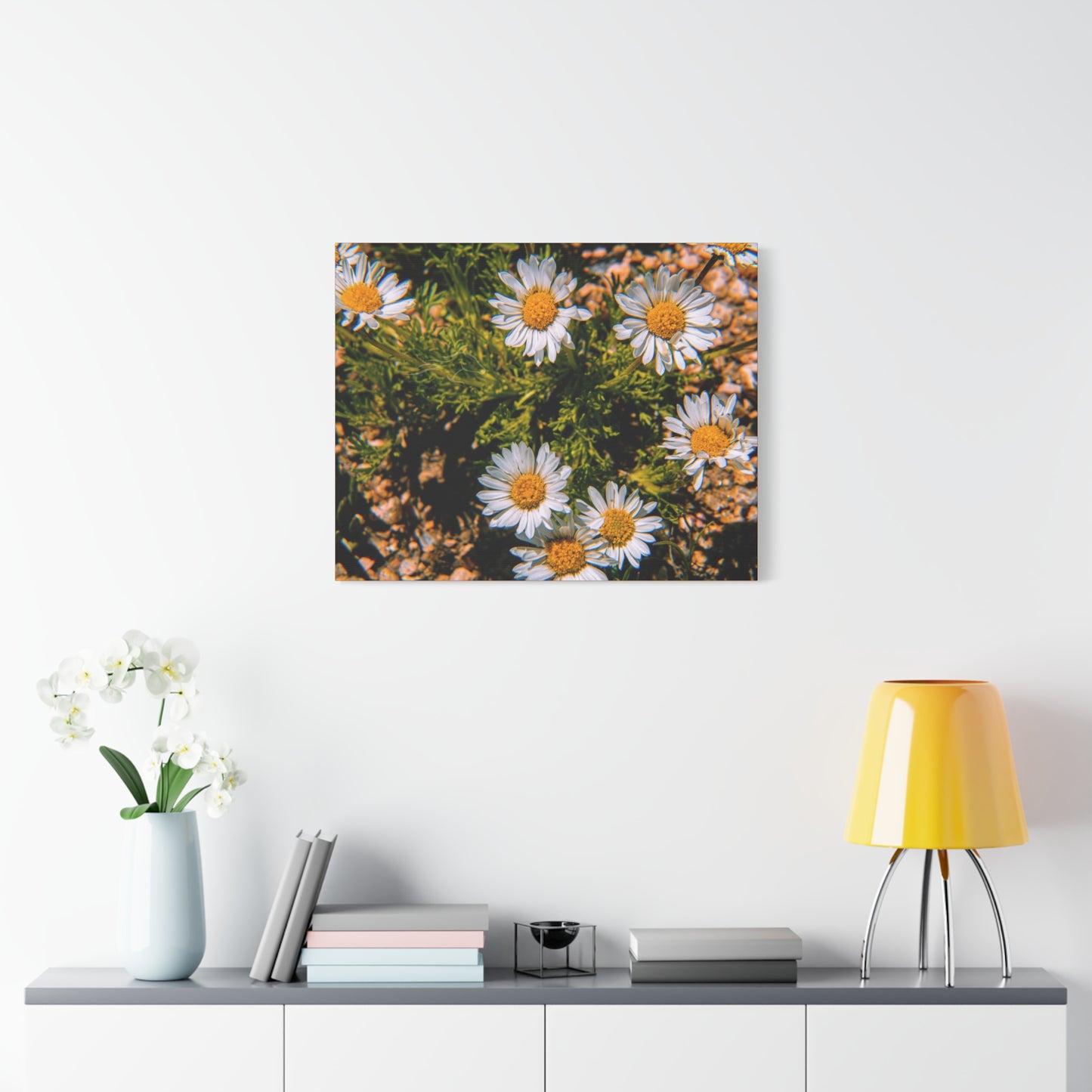 Wild Daisy Canvas