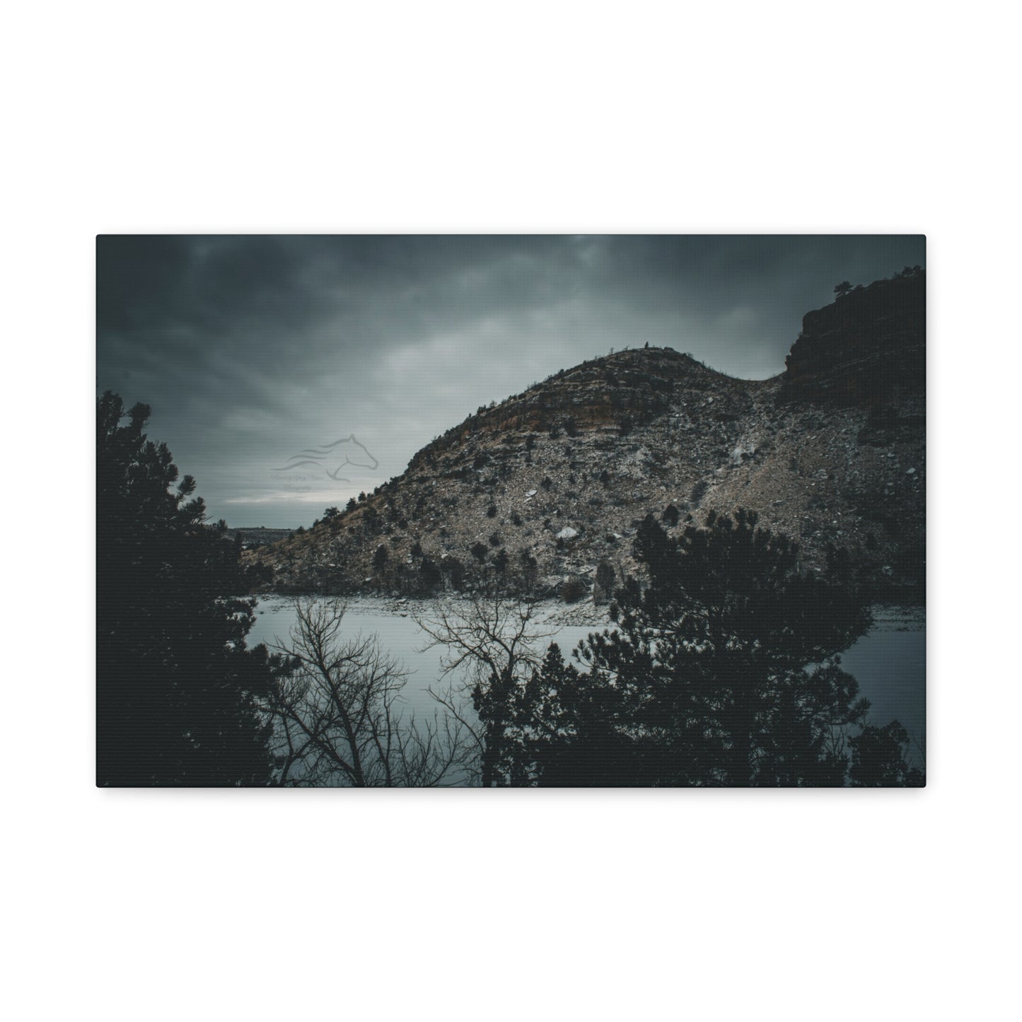Moody Landscape Canvas