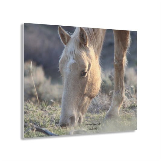 Beautiful Blonde Acrylic Prints