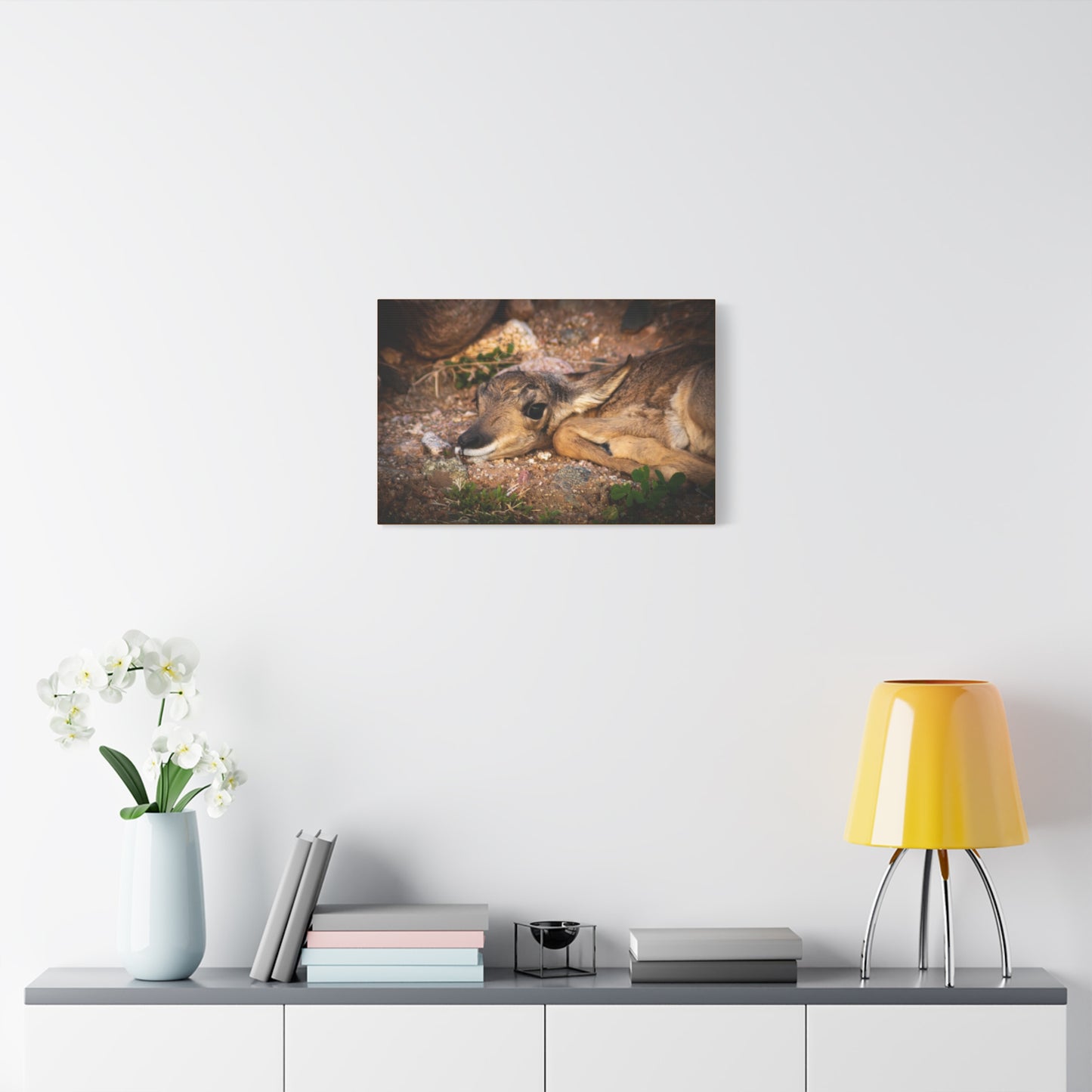 Baby Antelope Canvas