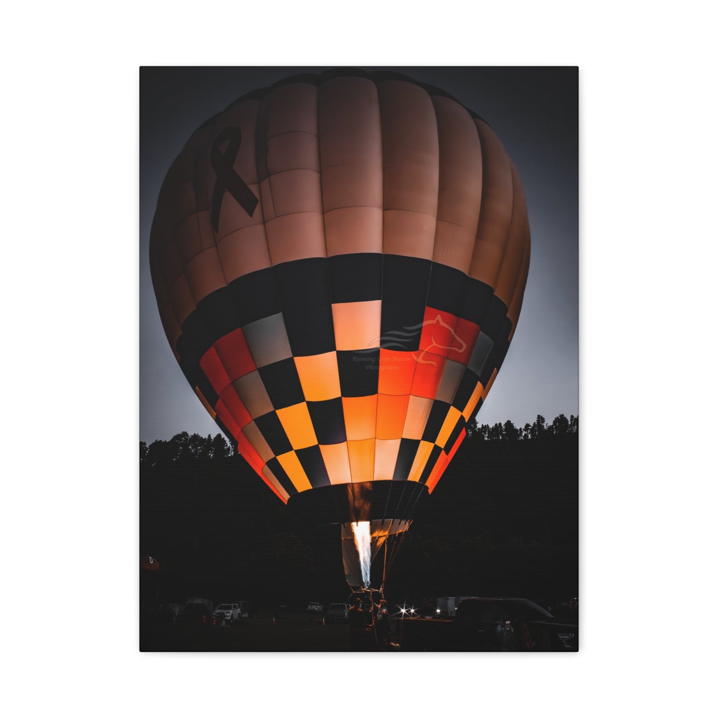 Hot Air Balloon Canvas