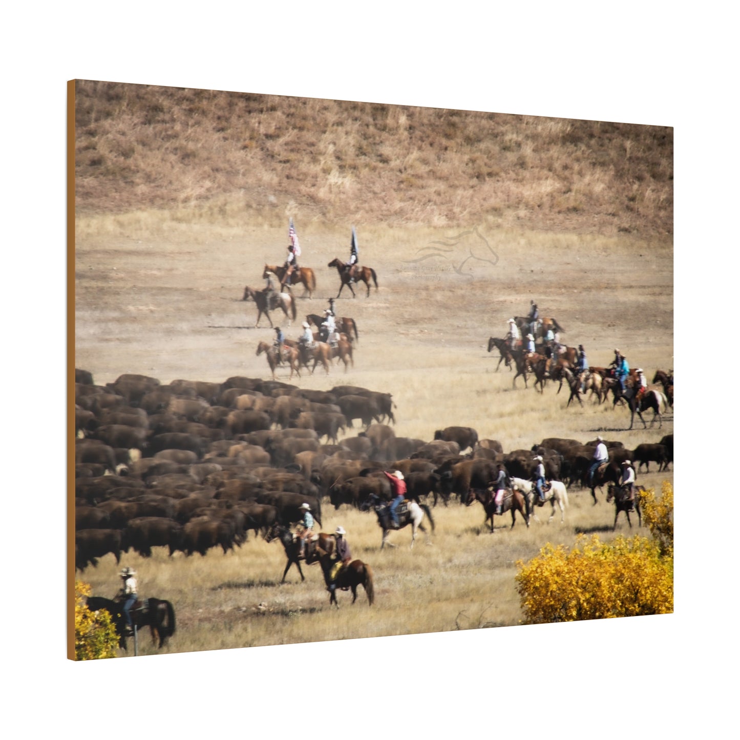 Cowboys and Buffalos Canvas