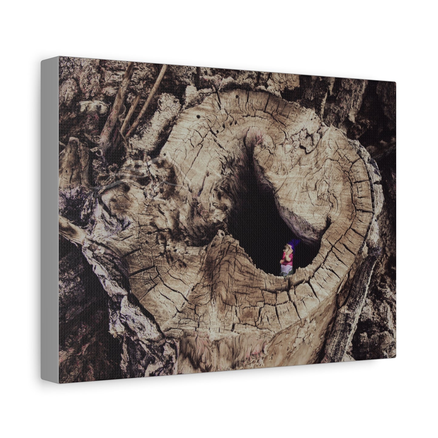 Fairy in a Tree Canvas