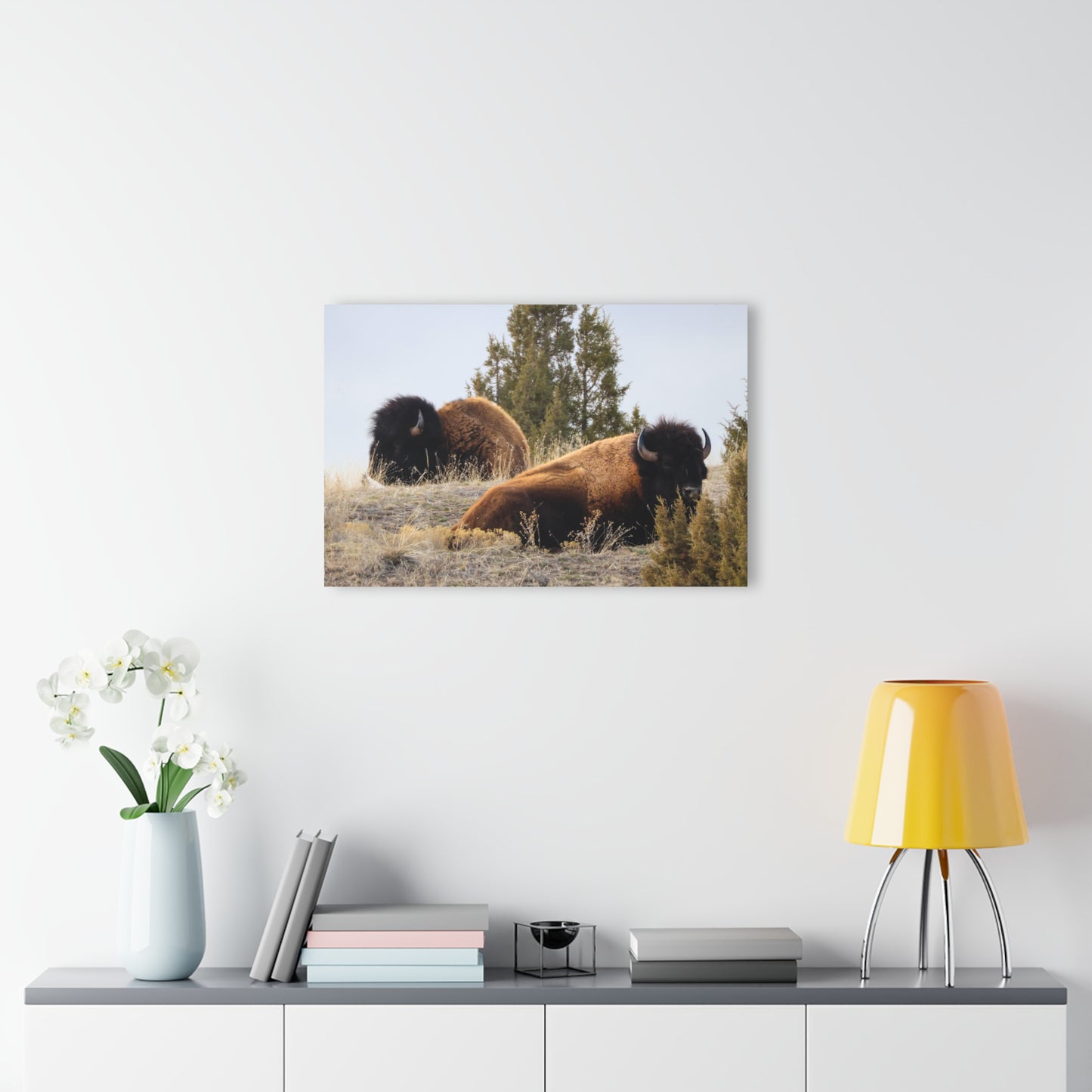 Two Bull Buffalo Acrylic