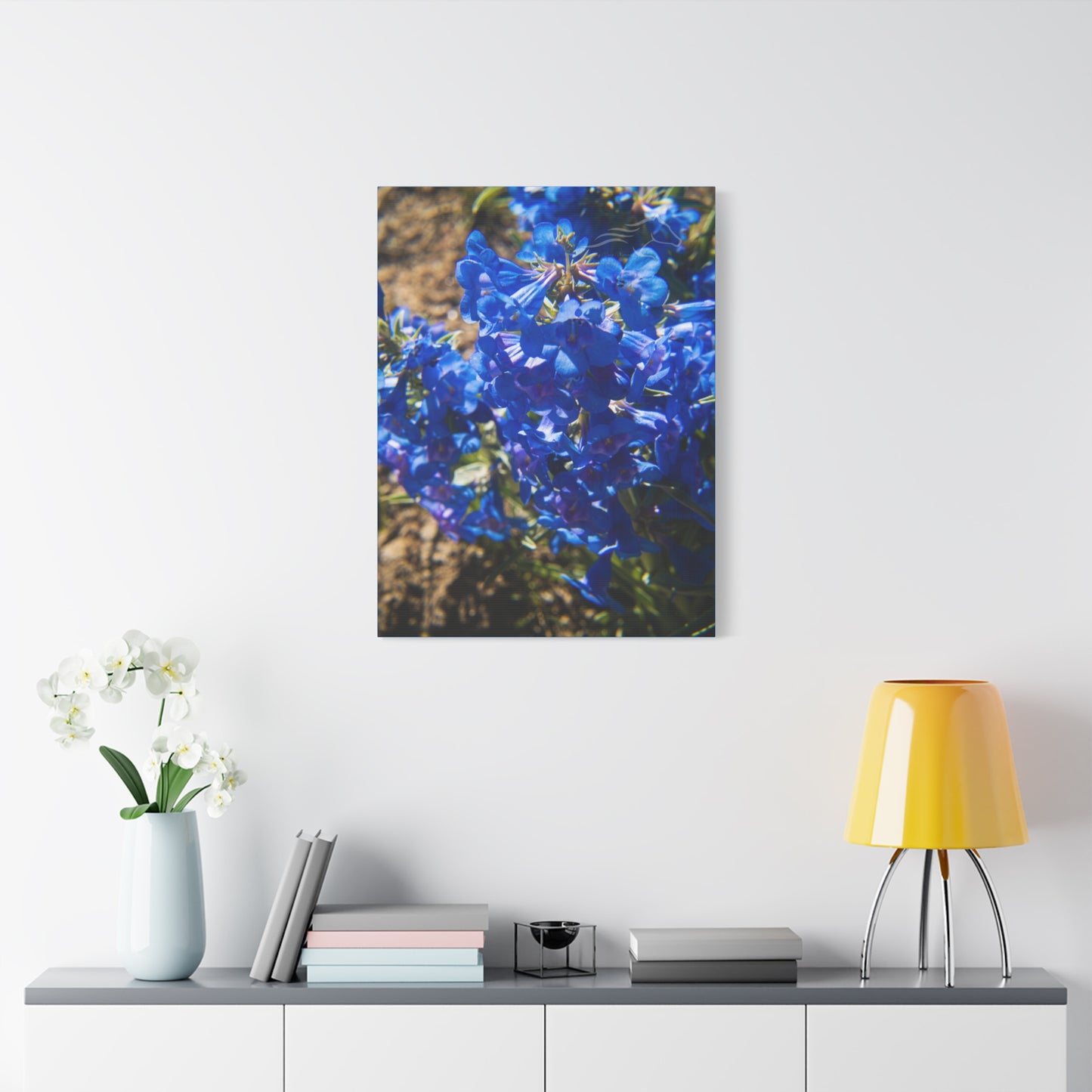 Rocky Mountain Beardtongue Canvas