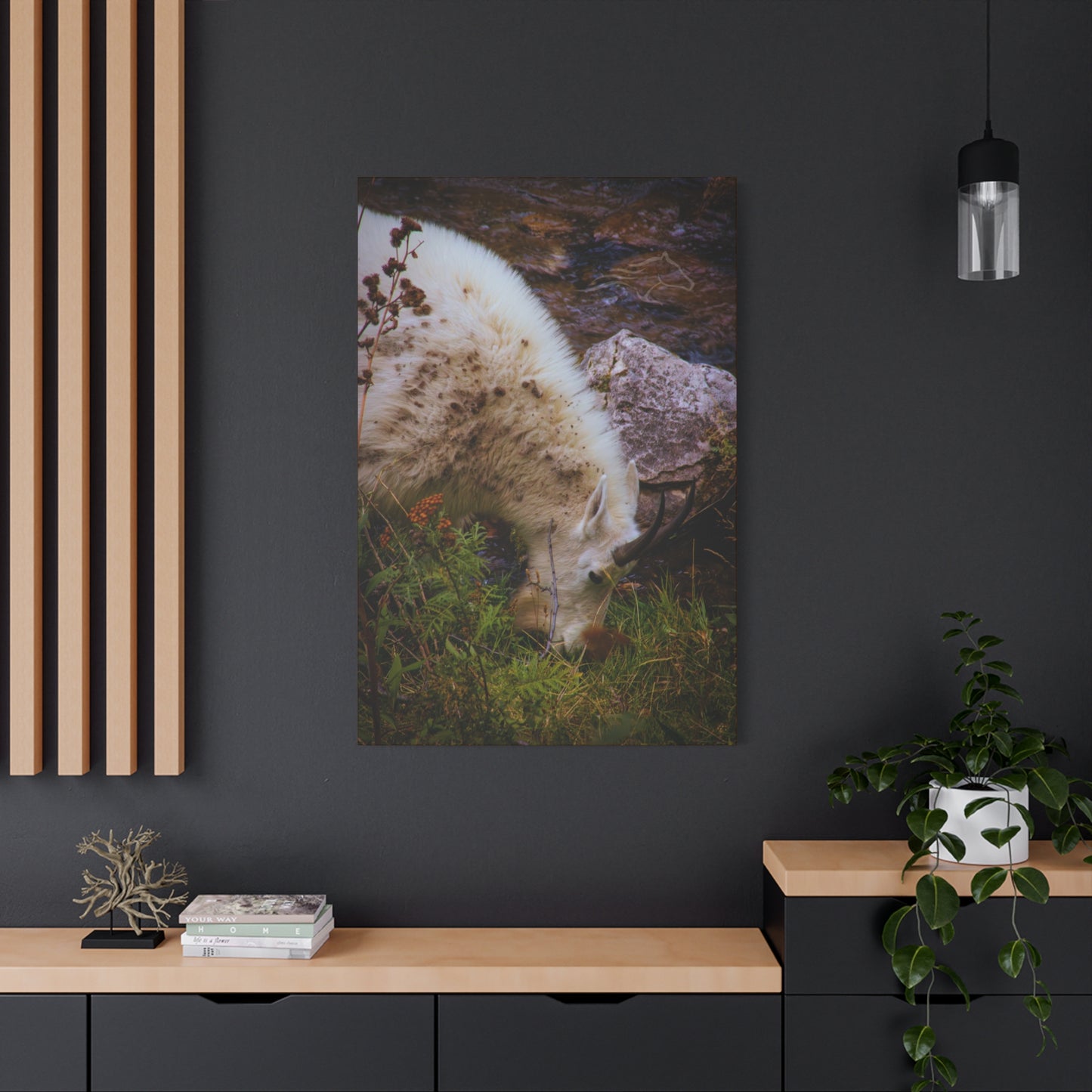 Mountain Goat Canvas