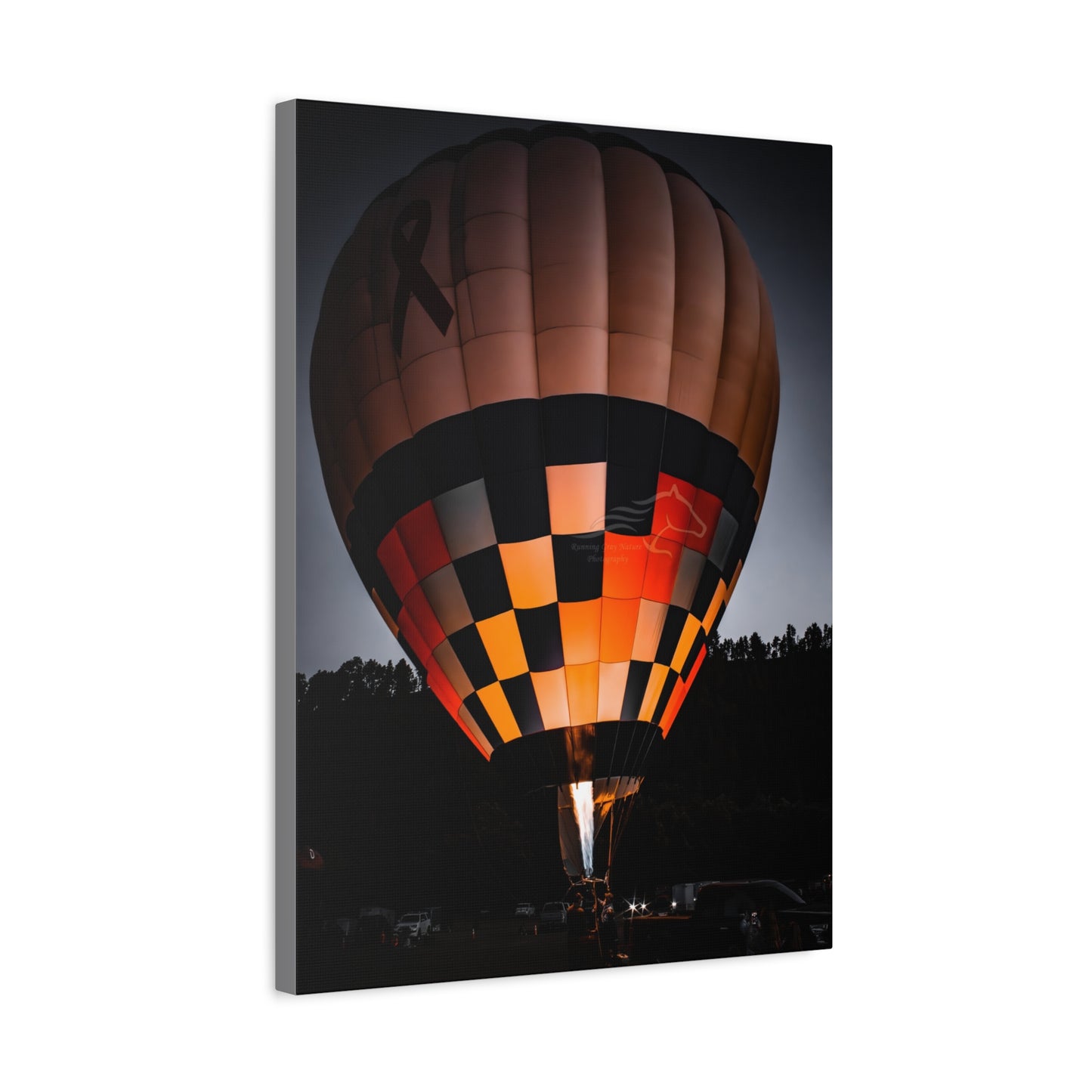 Hot Air Balloon Canvas