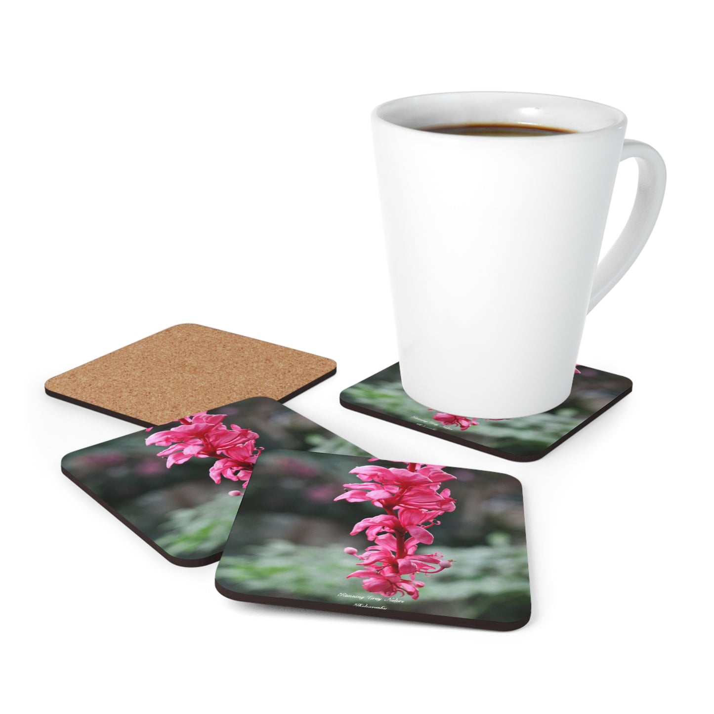 Showy Medinilla  Coaster Set