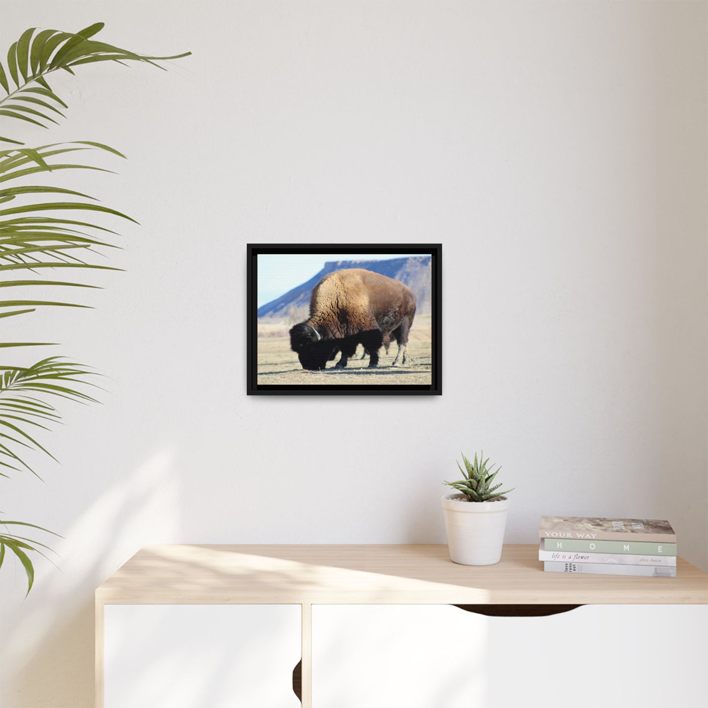 Big Daddy Buffalo Framed Canvas