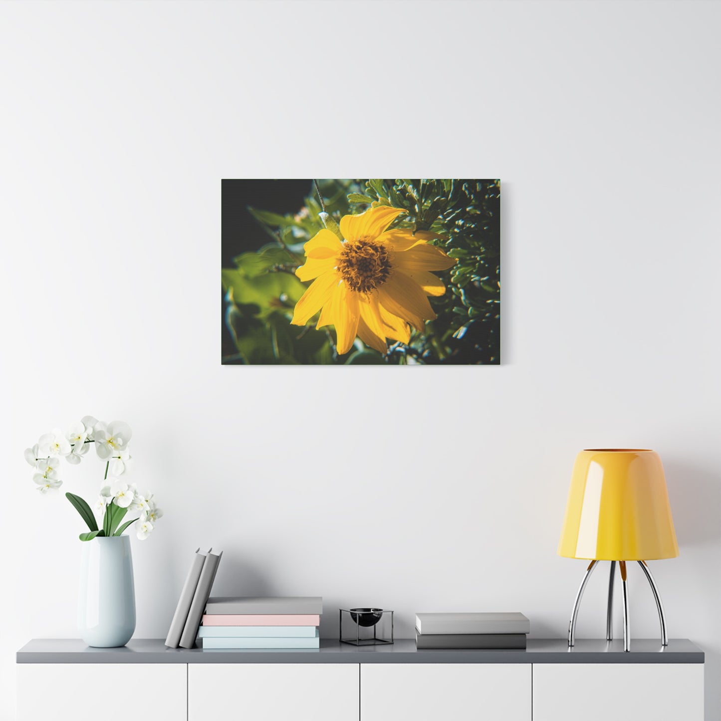 Arrowleaf Balsamroot Canvas
