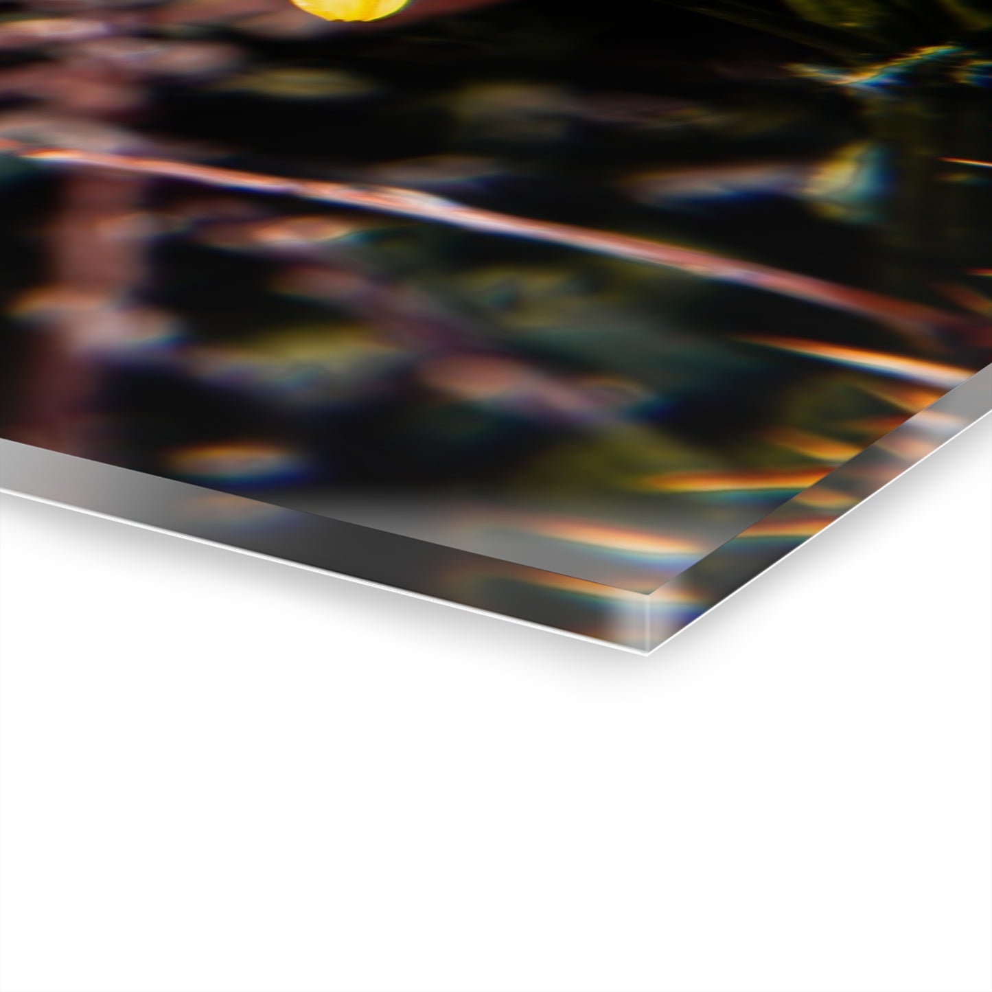 Butterfly Bloom Acrylic