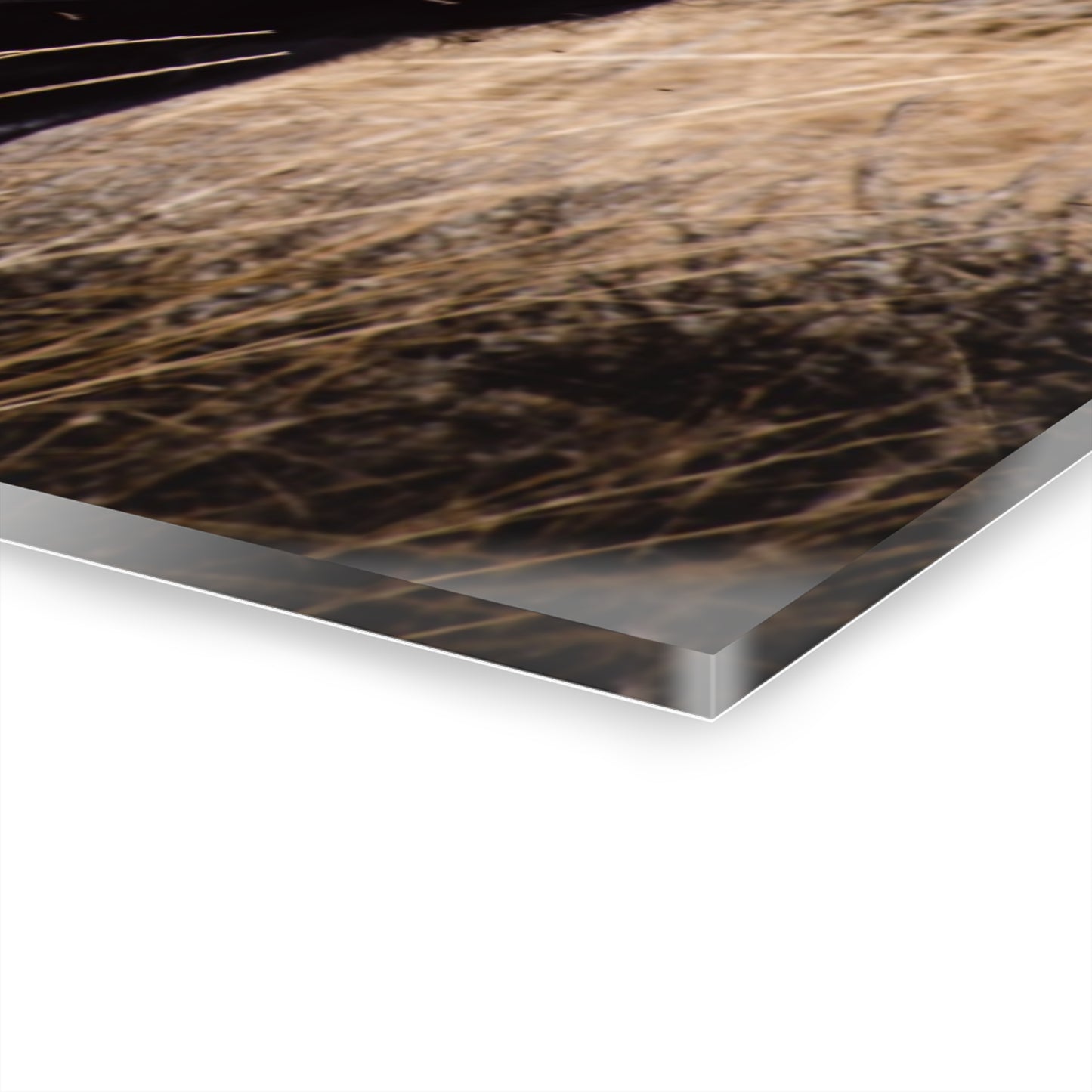 Baby Blonde Calf Acrylic