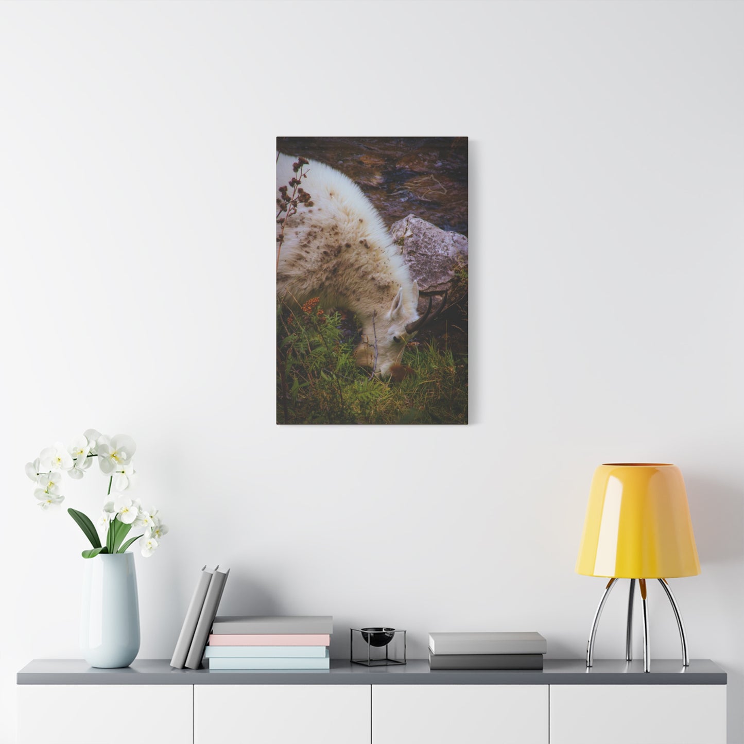 Mountain Goat Canvas