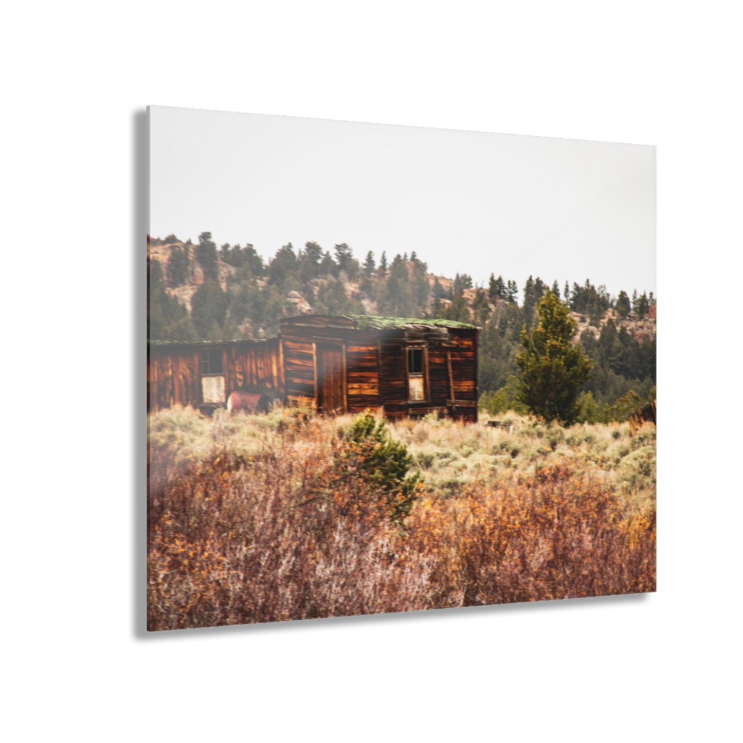 Rustic Landscape Acrylic