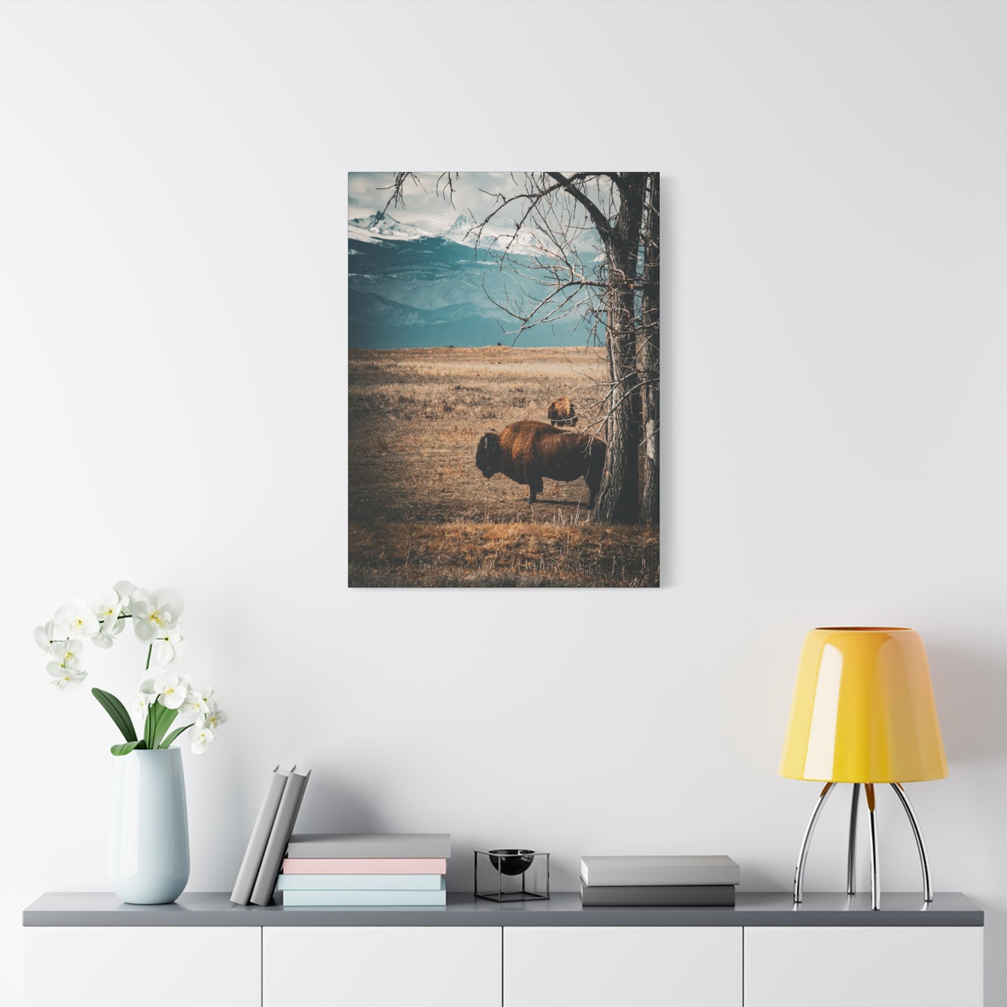 Rustic Bison Mountain Canvas
