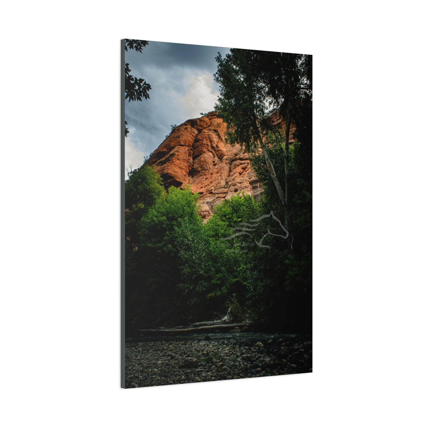 Red Rock Near Ayres Natural Bridge Canvas