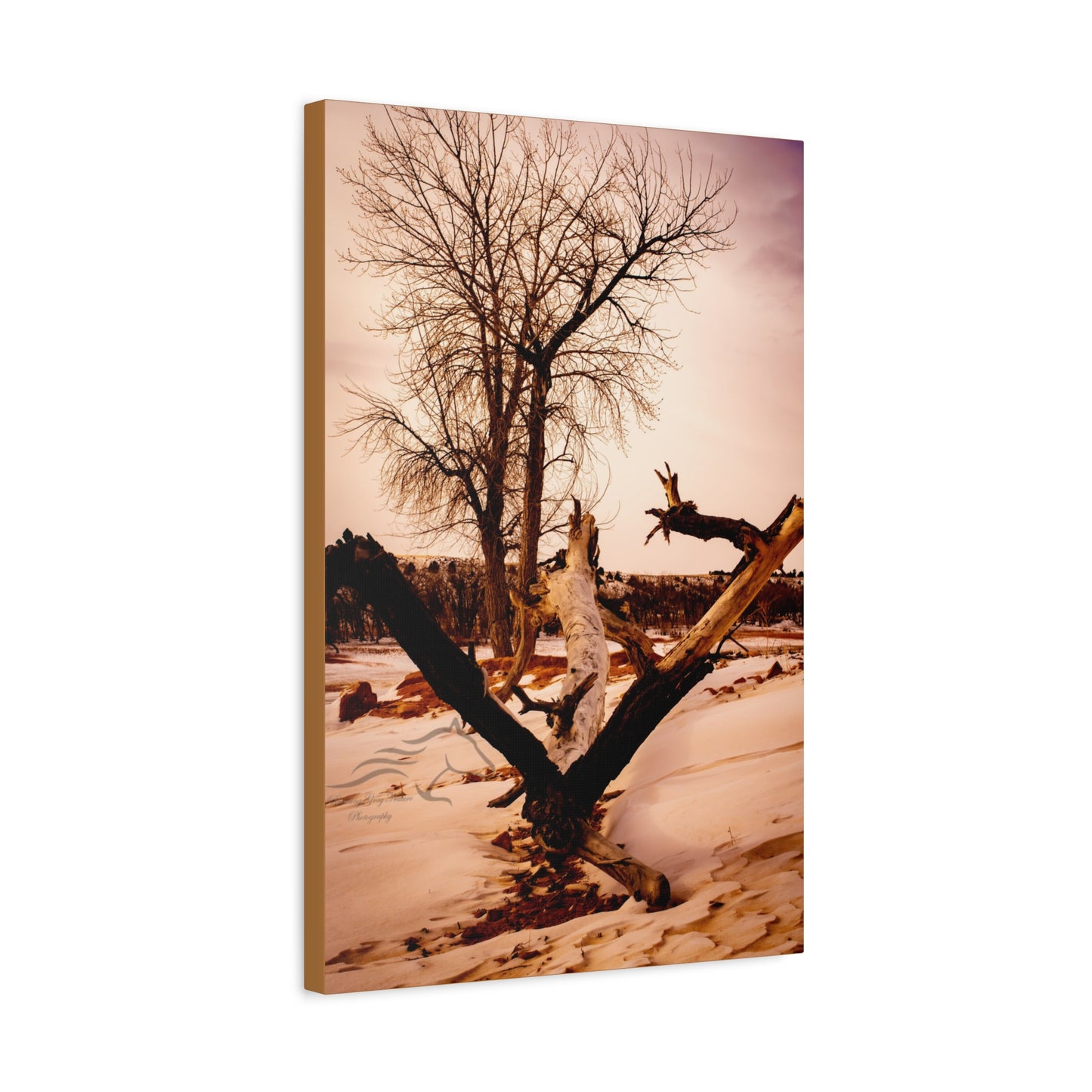 Rustic Landscape Canvas