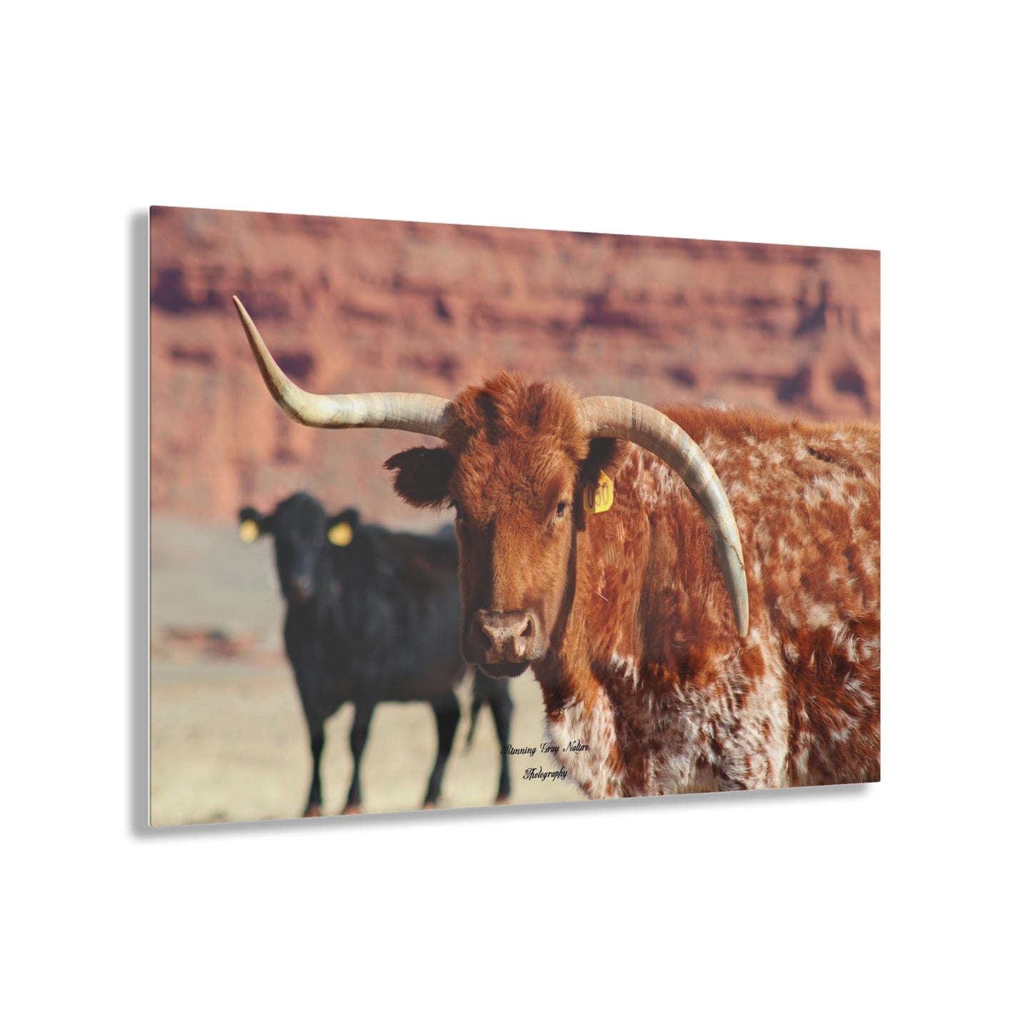 Mismatch Long Horn Acrylic Prints