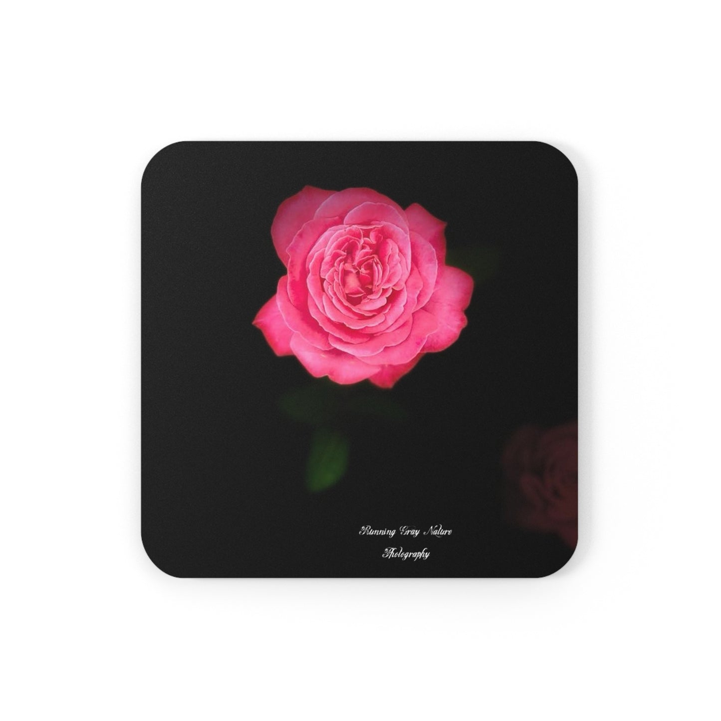 Pink Peace Rose Coaster