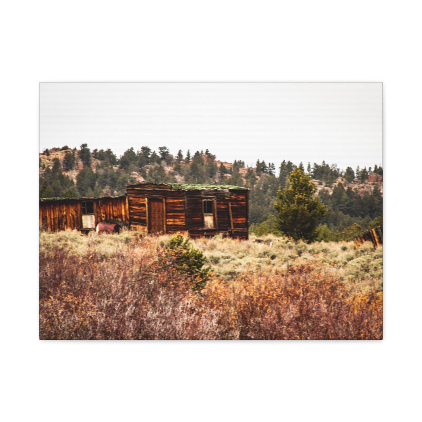 Rustic Landscape Canvas