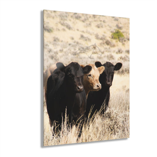 Monkey in the Middle Acrylic