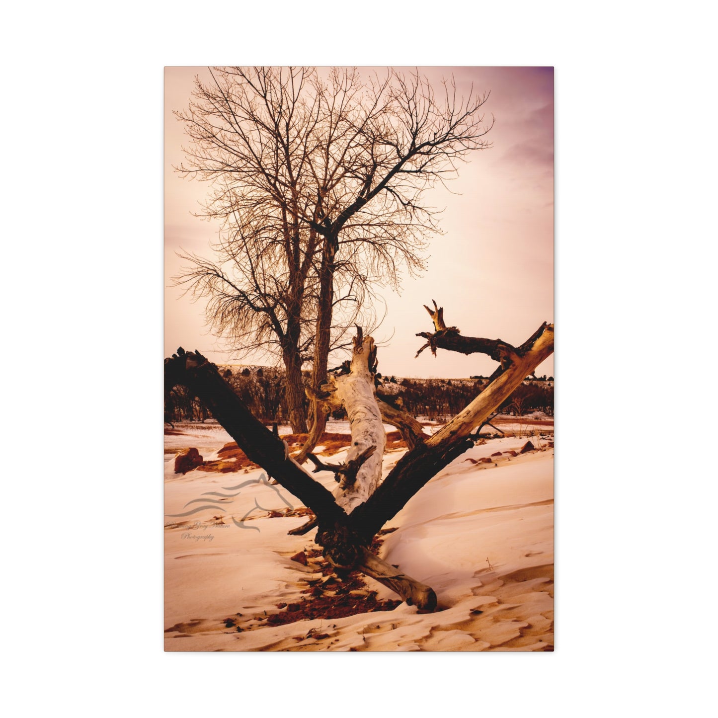 Rustic Landscape Canvas