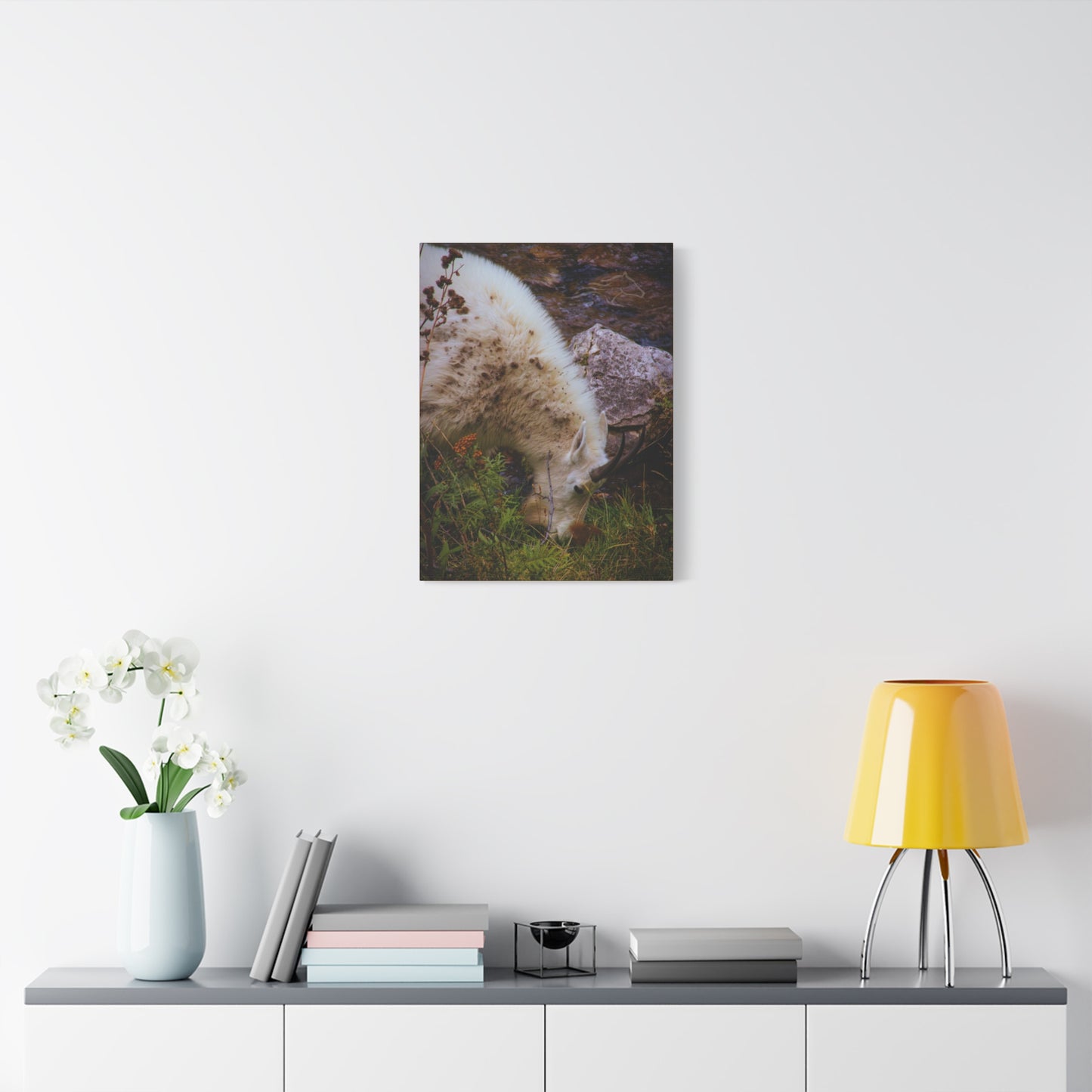 Mountain Goat Canvas