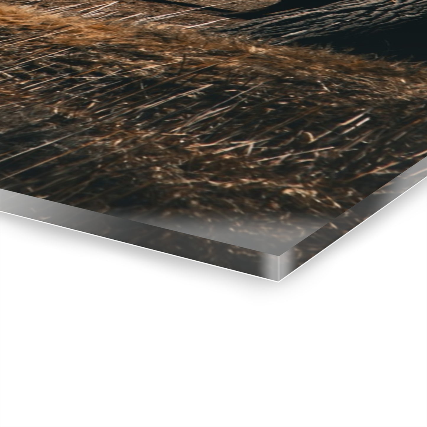 Rustic Bison Mountain Acrylic