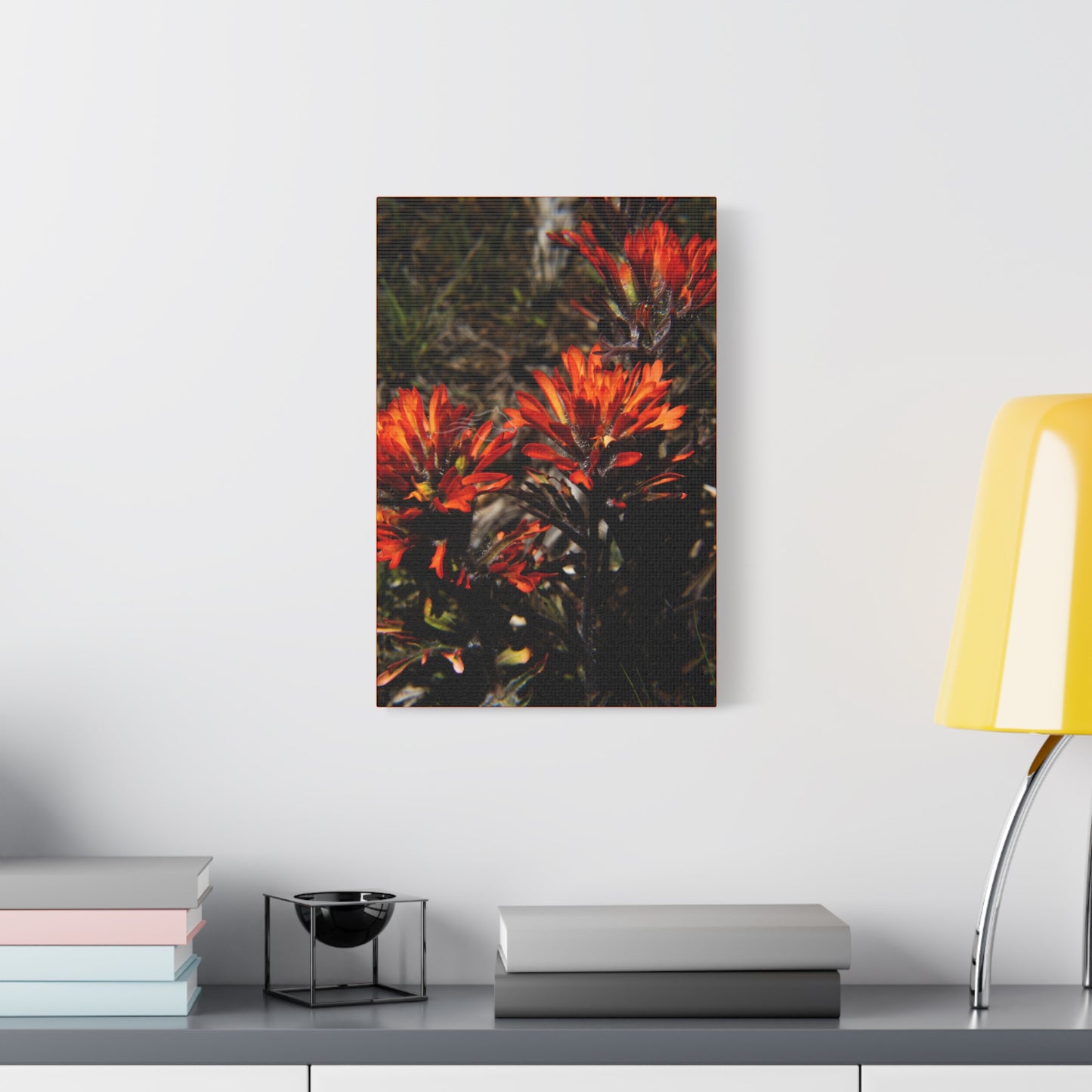 Indian Paint Brush Canvas