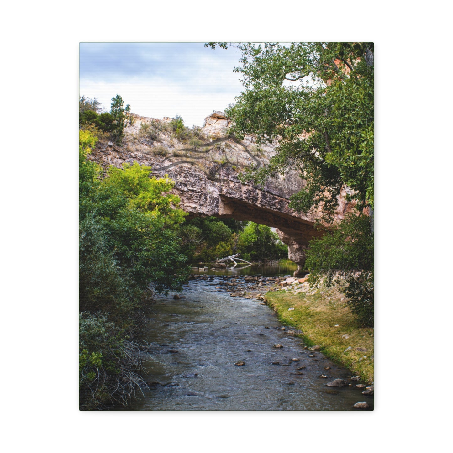 Ayres Natural Bridge Canvas