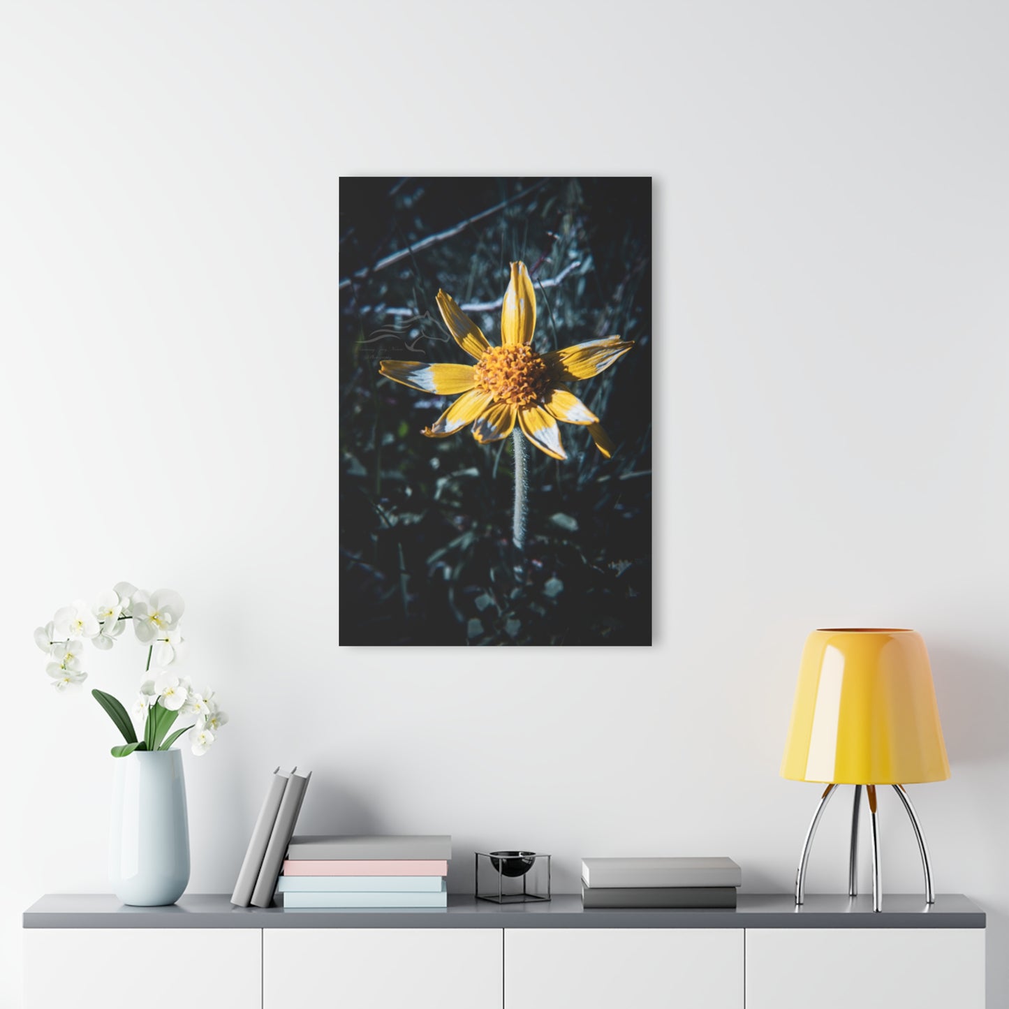 Parish's Goldeneye Acrylic