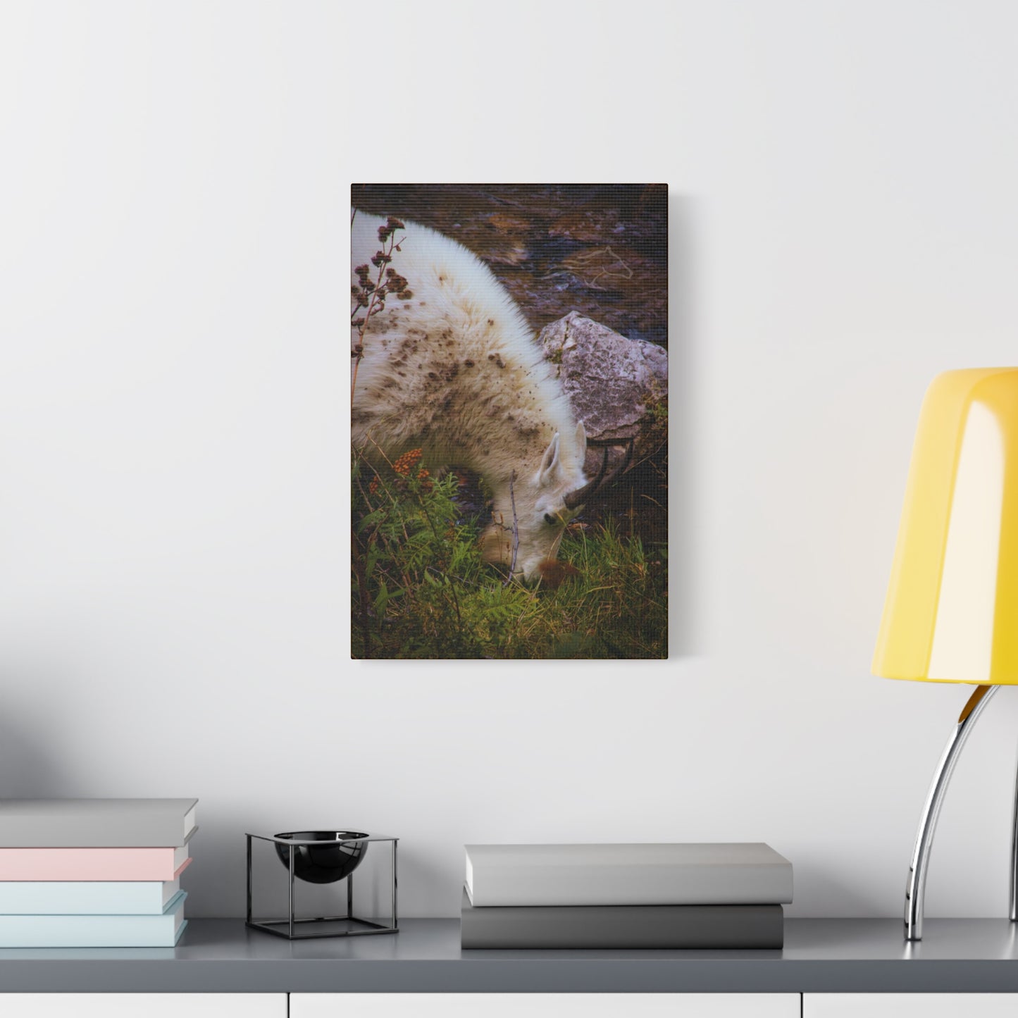 Mountain Goat Canvas