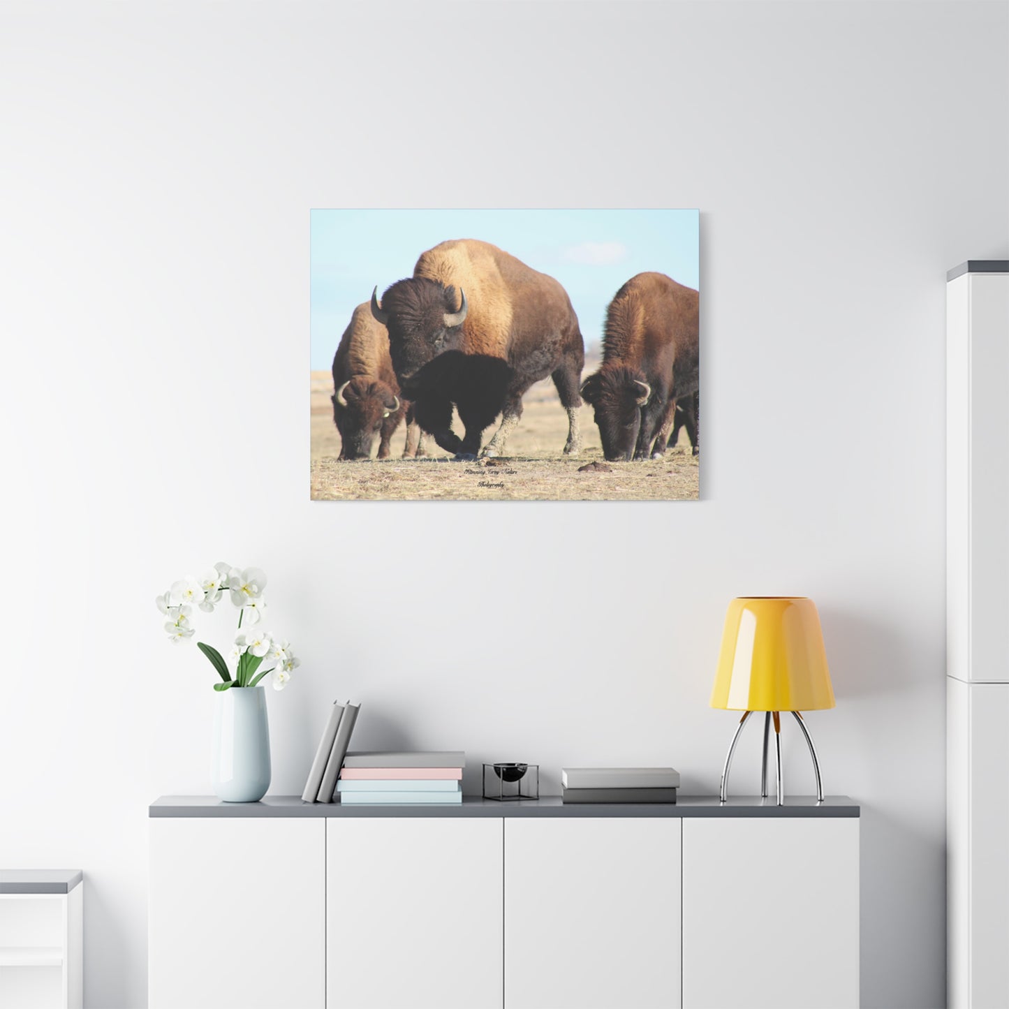 Buffalo Herd Matte Canvas, Stretched, 1.25"