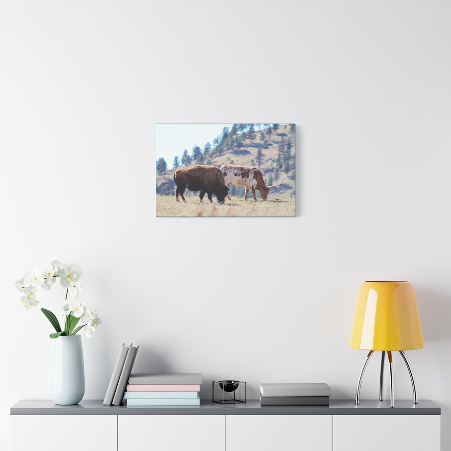 Long Horn and Buffalo Canvas