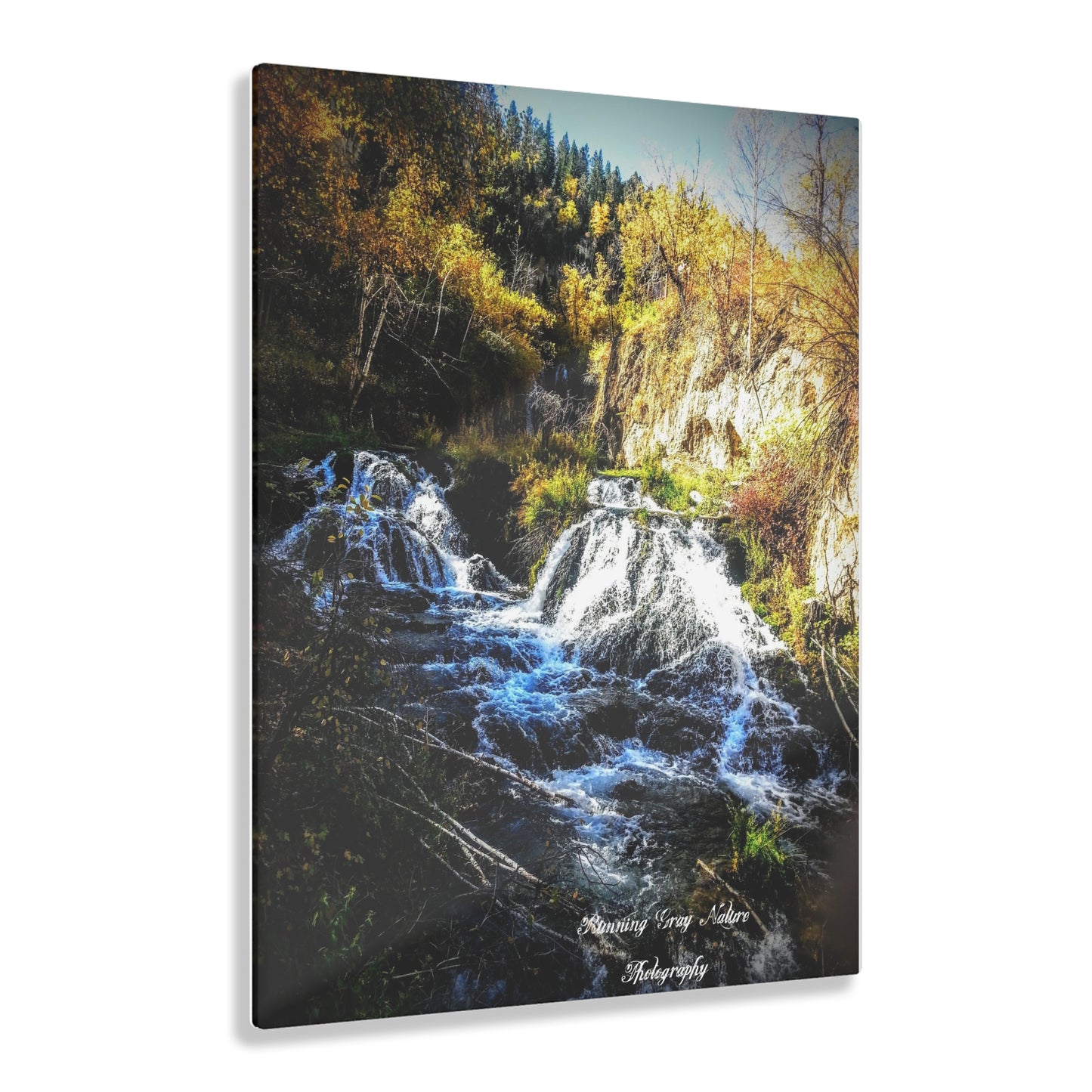 Spearfish, SD Roughlock Falls Acrylic Prints