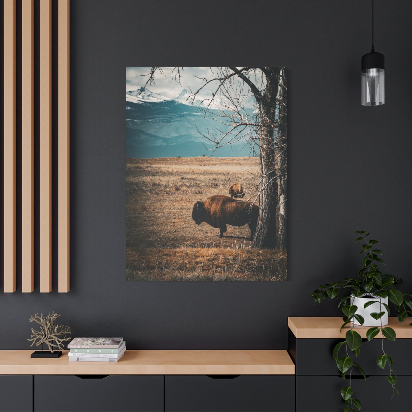 Rustic Bison Mountain Canvas