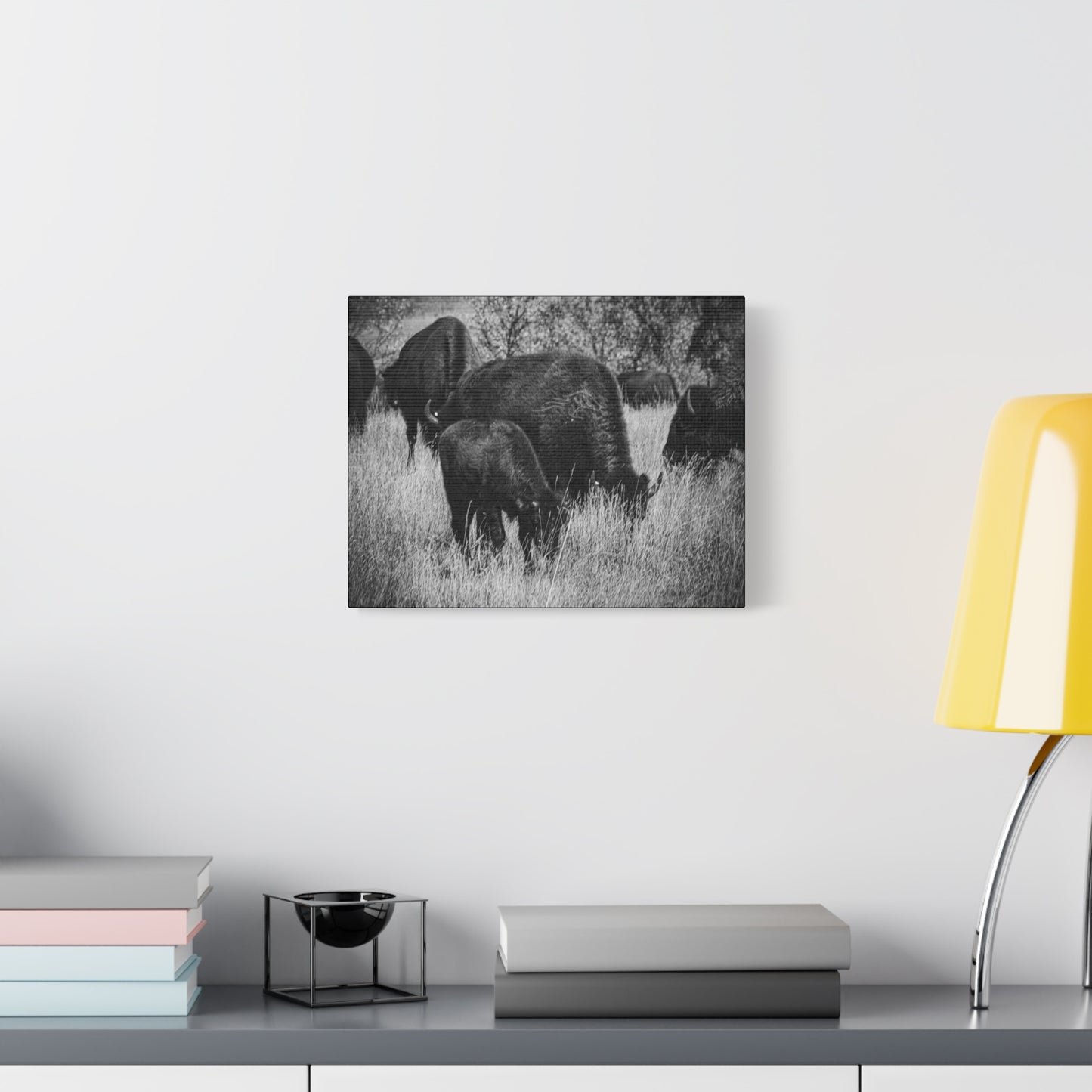 Black and White Buffalo Canvas