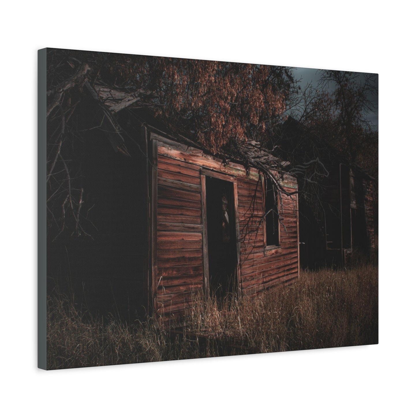 Haunting Rustic Canvas