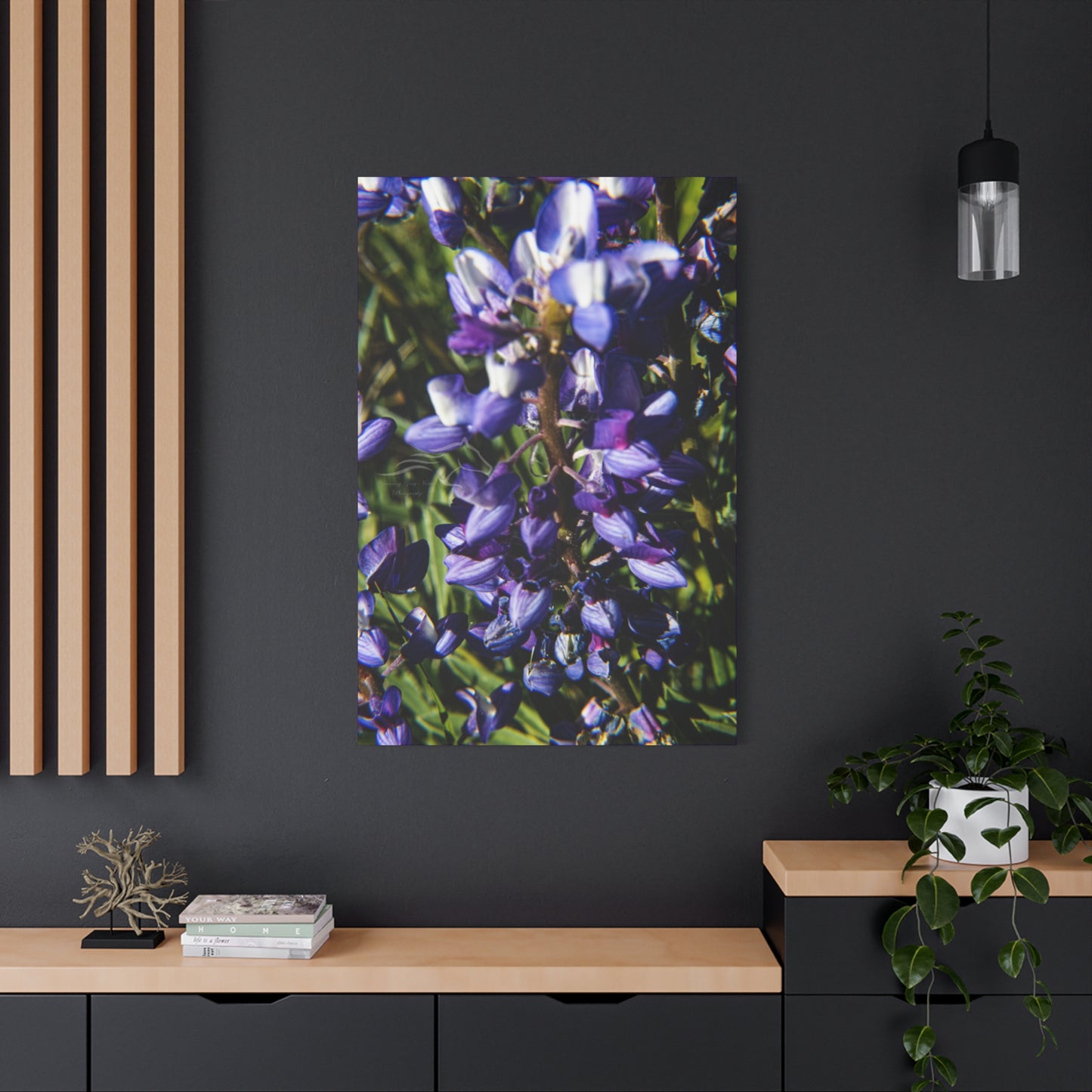 Arctic Lupine Canvas