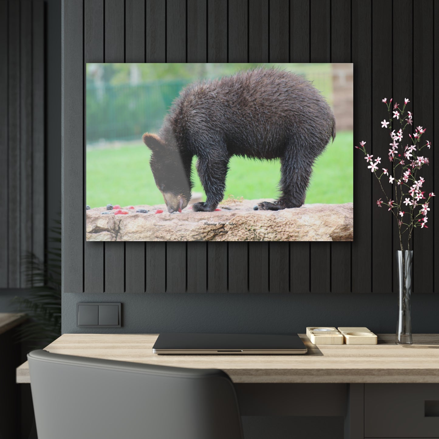 Strawberry Bear Acrylic Prints