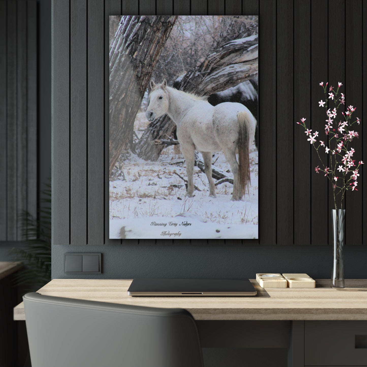 Winter White Horse Acrylic Prints