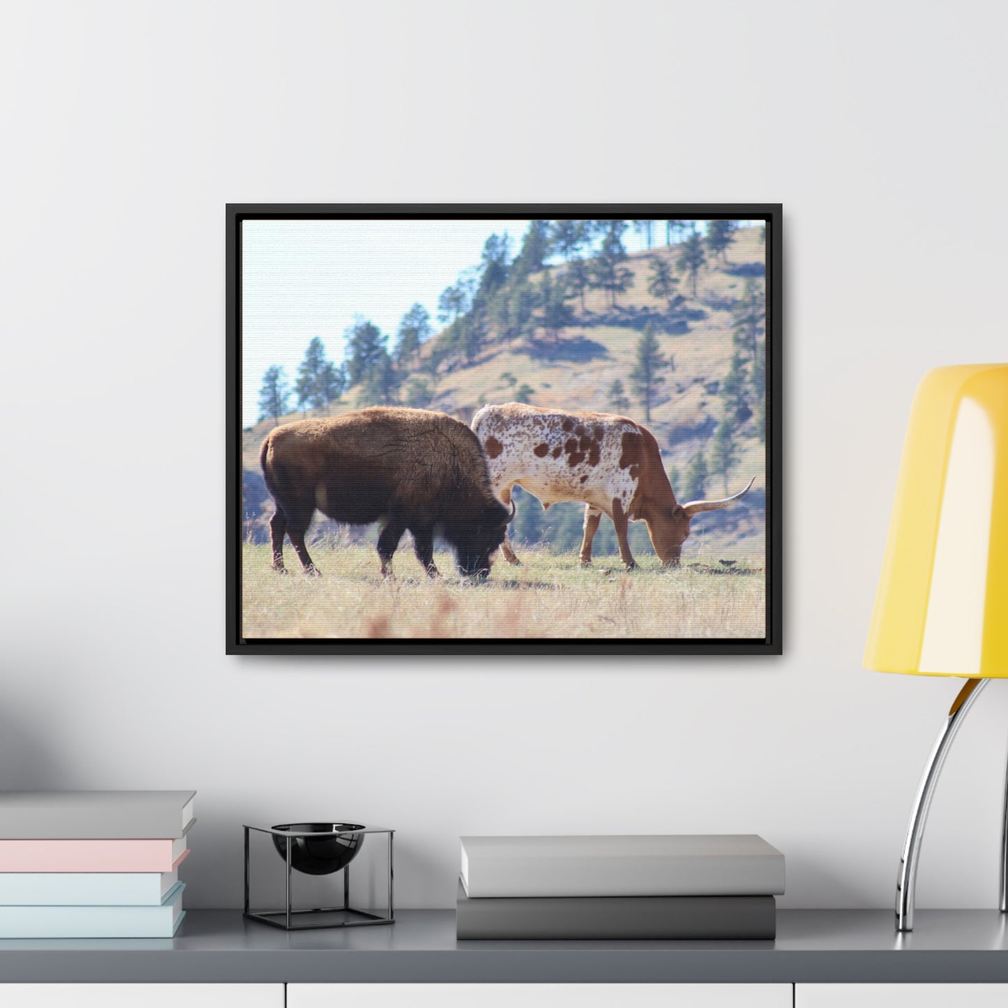 Long Horn and Buffalo Gallery Canvas Wraps, Horizontal Frame