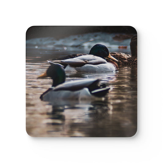 Mallard Duck Corkwood Coaster Set