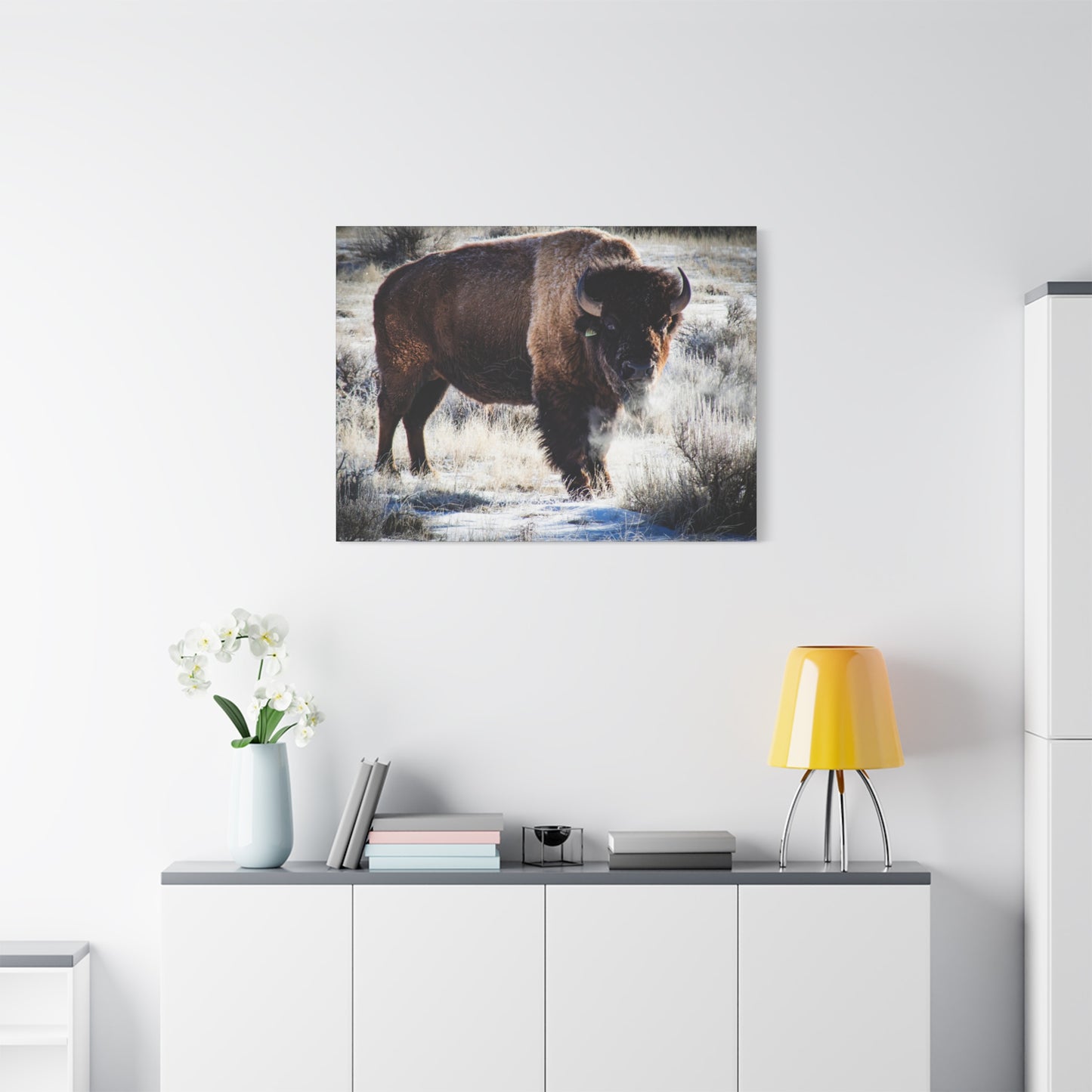 Early Morning Buffalo Canvas