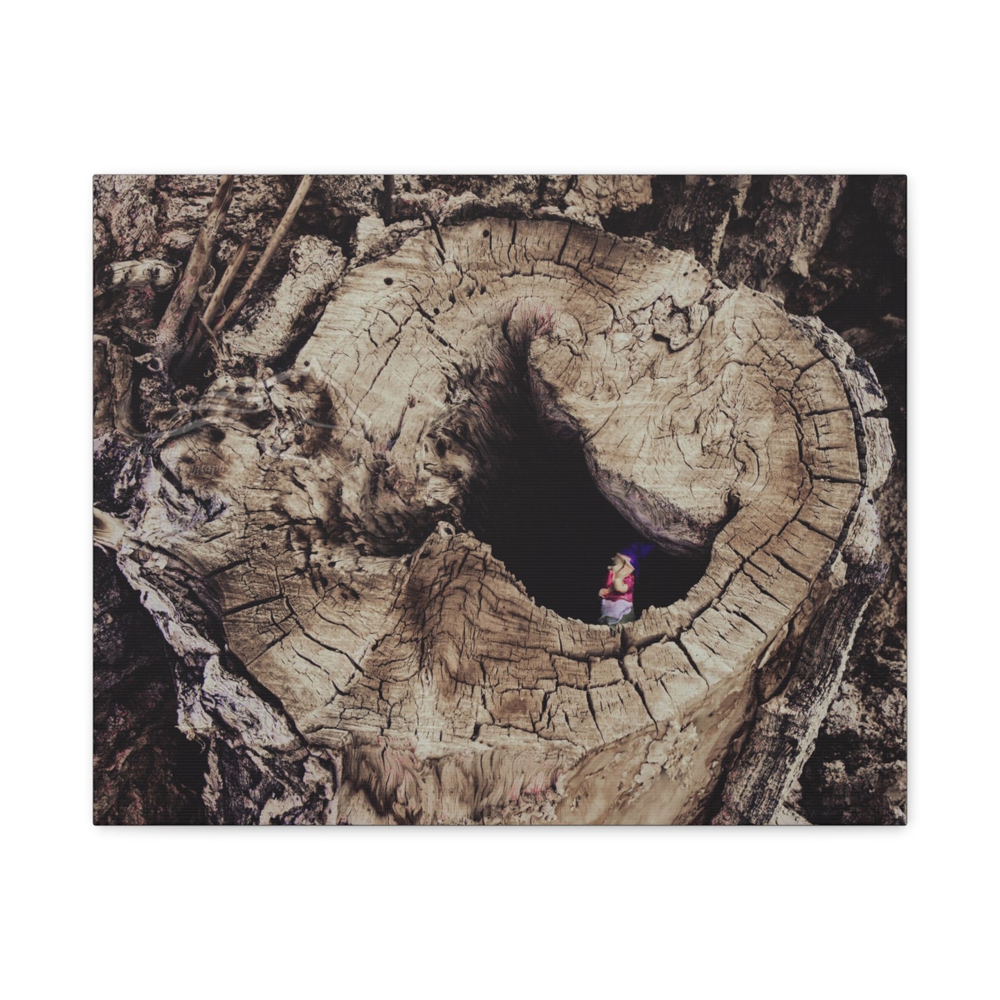 Fairy in a Tree Canvas