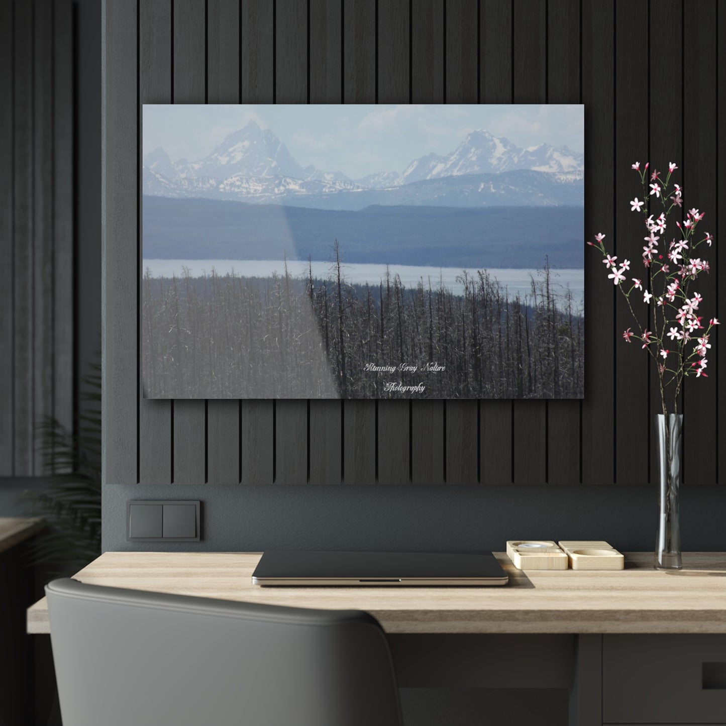 Teton Range Acrylic Prints