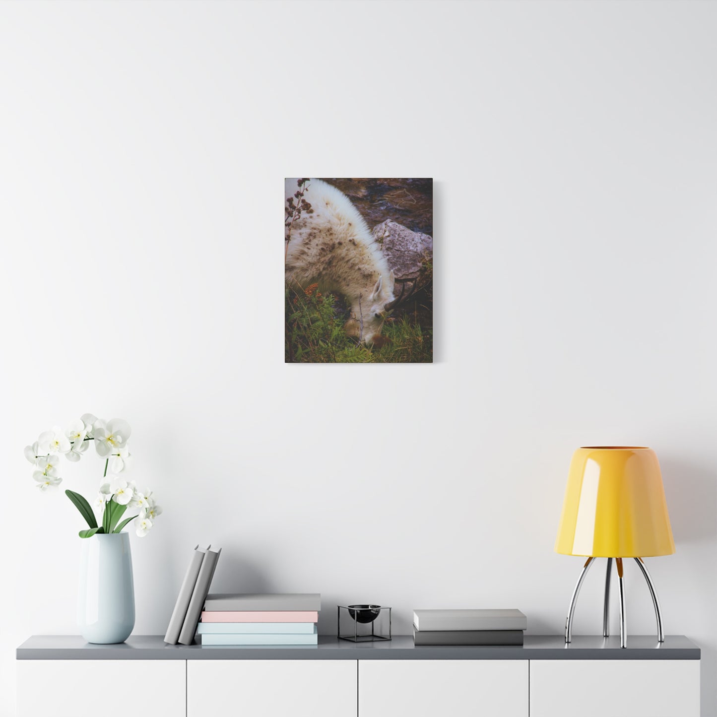 Mountain Goat Canvas