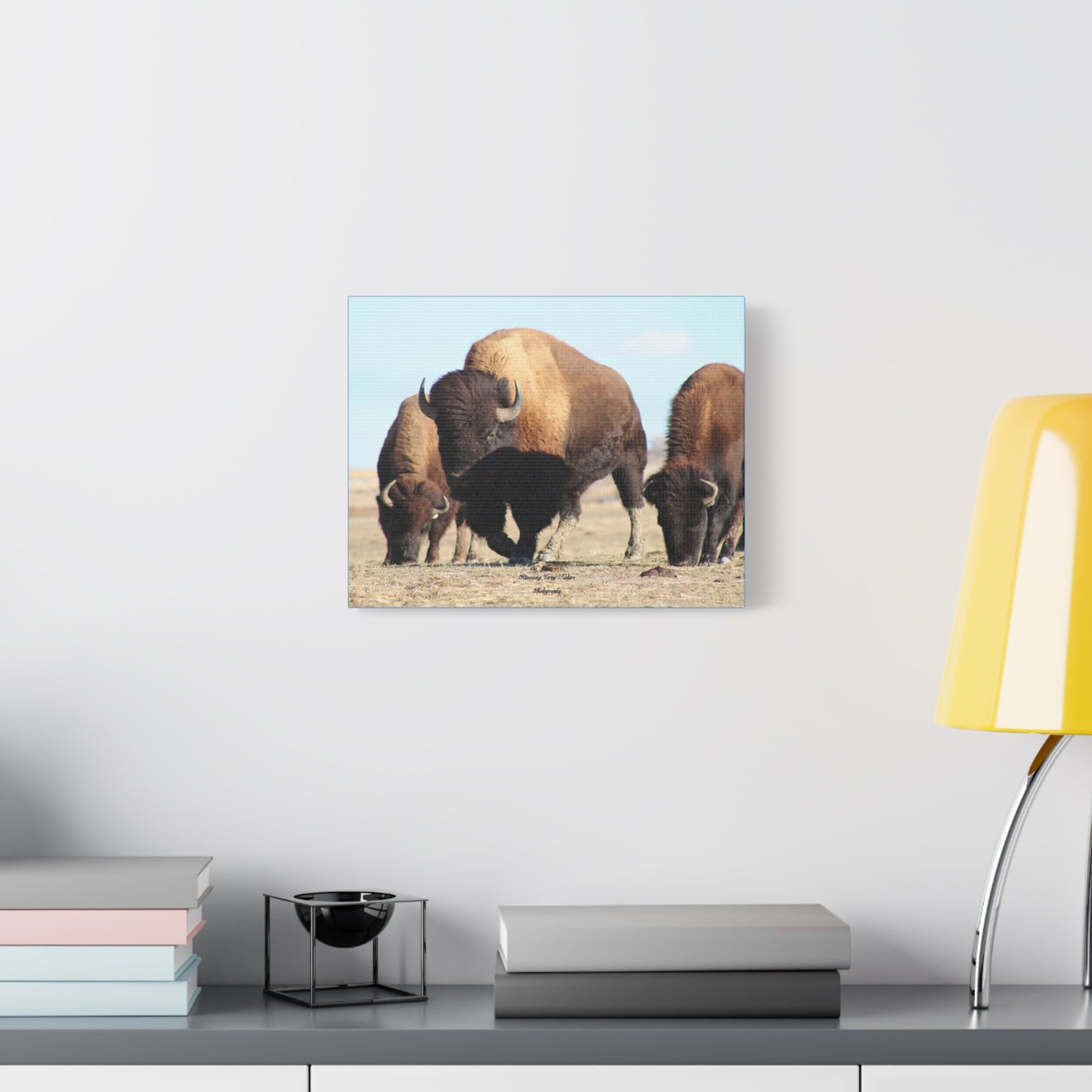 Buffalo Herd Matte Canvas, Stretched, 1.25"