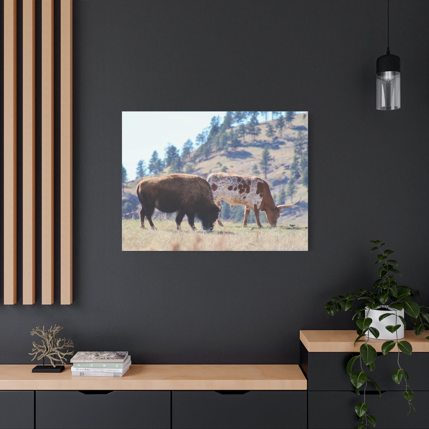Long Horn and Buffalo Canvas