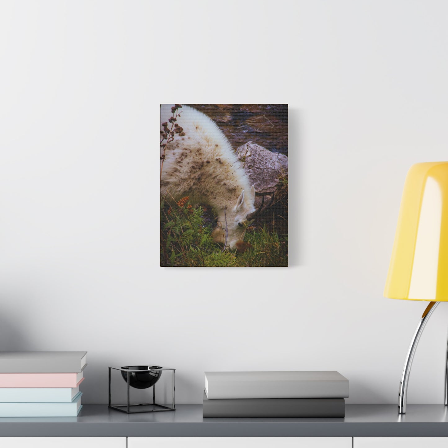 Mountain Goat Canvas